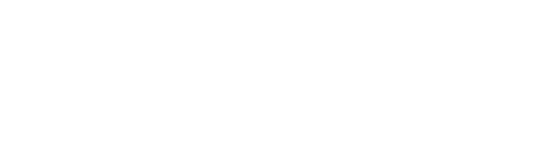 Vidafy logo